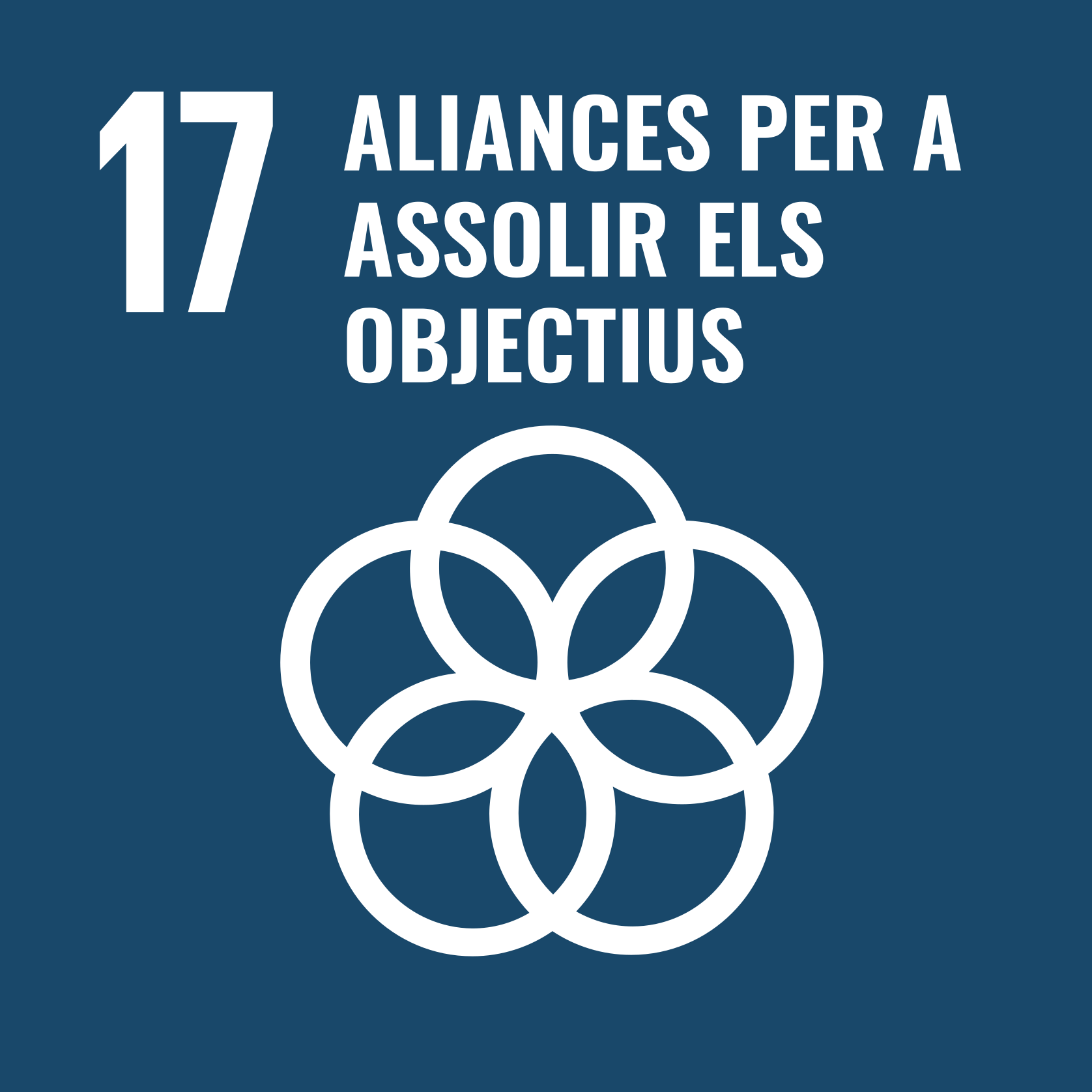 ODS 17